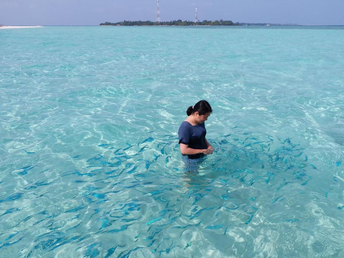 Quicksand Rasdhoo Luaran gambar